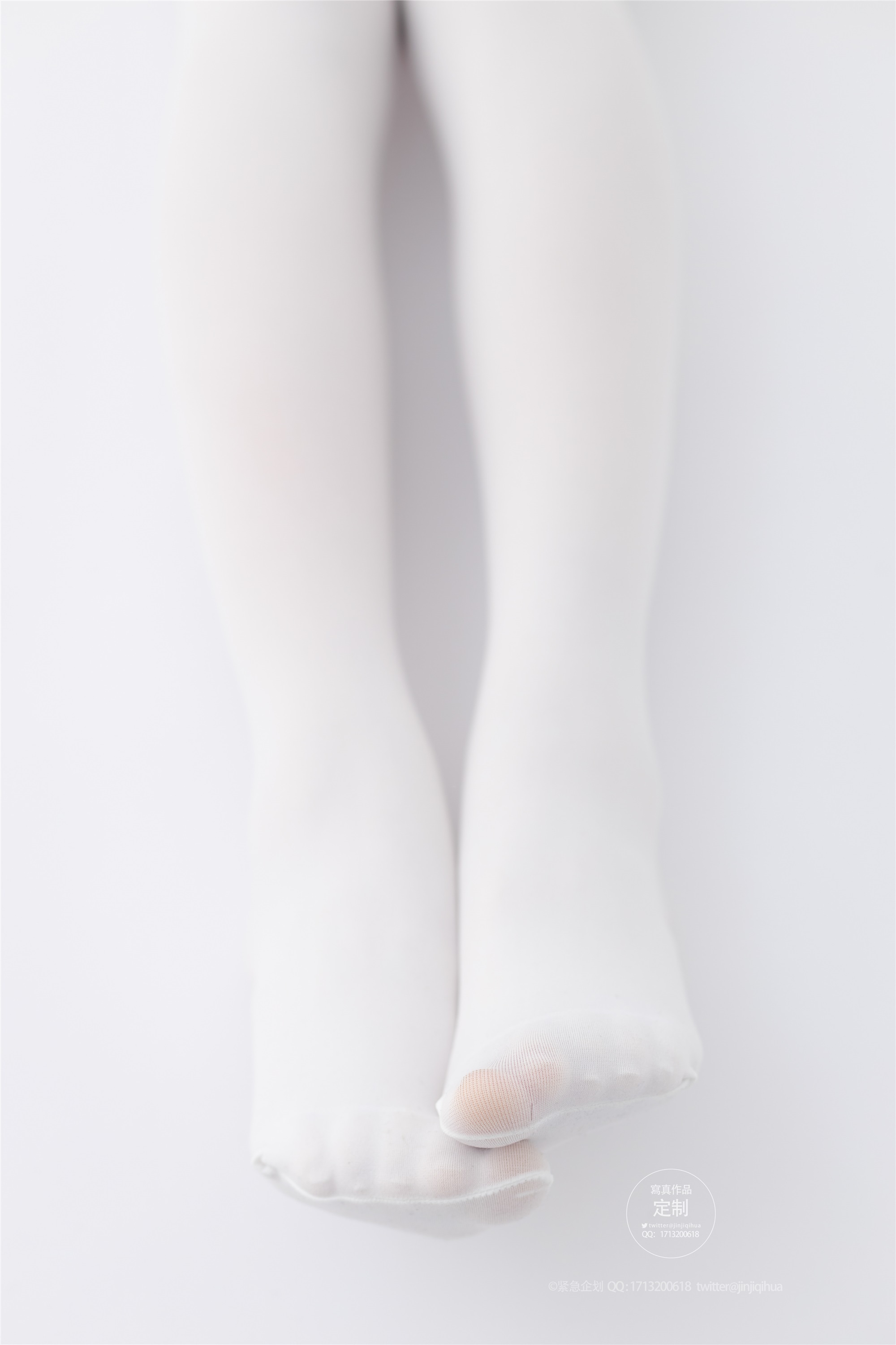 紧急企划 NO.014 一只喵喵梓